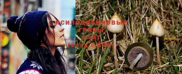 прущие крисы Заволжье