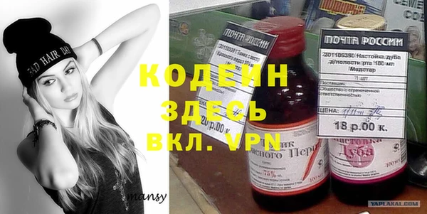 твердый Инта