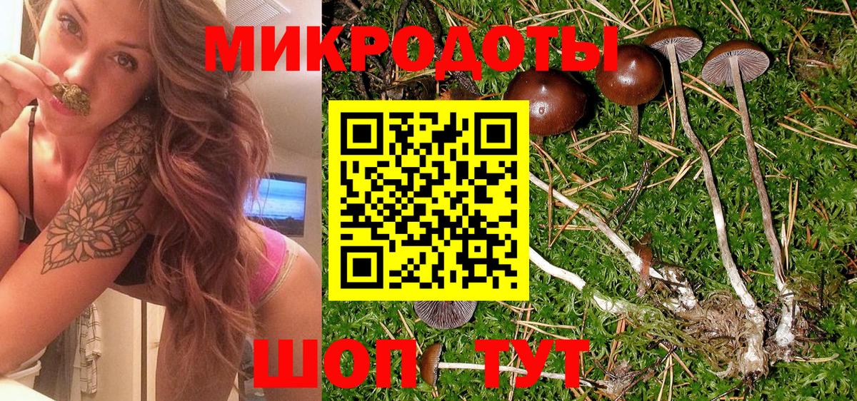Галлюциногенные грибы мицелий  Вход с VPN  Пыть-Ях  Галлюциногенные грибы мицелий 
