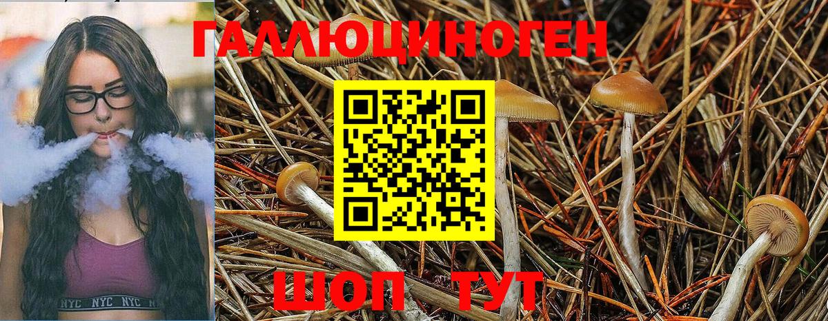 Галлюциногенные грибы мухоморы  Пыть-Ях 